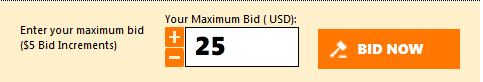 Preliminary Bid Section