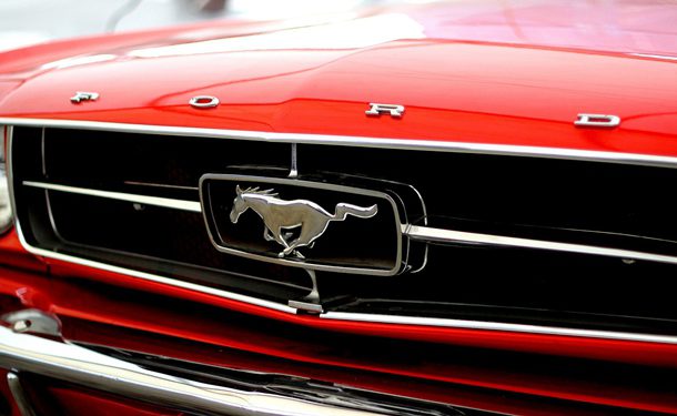 Ford Mustangs