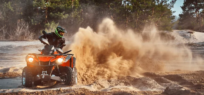 Guide to Powersport Auction Inventory