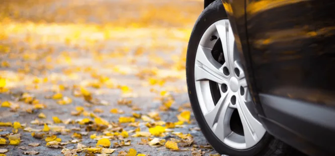 Prepare Your Vehicle for Fall