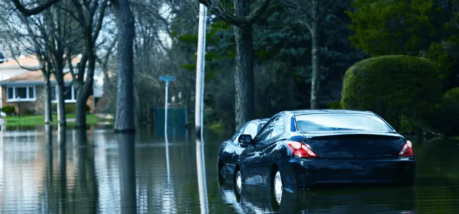 A Follow-Up on Storm-Damaged Vehicles from AutoBidMaster