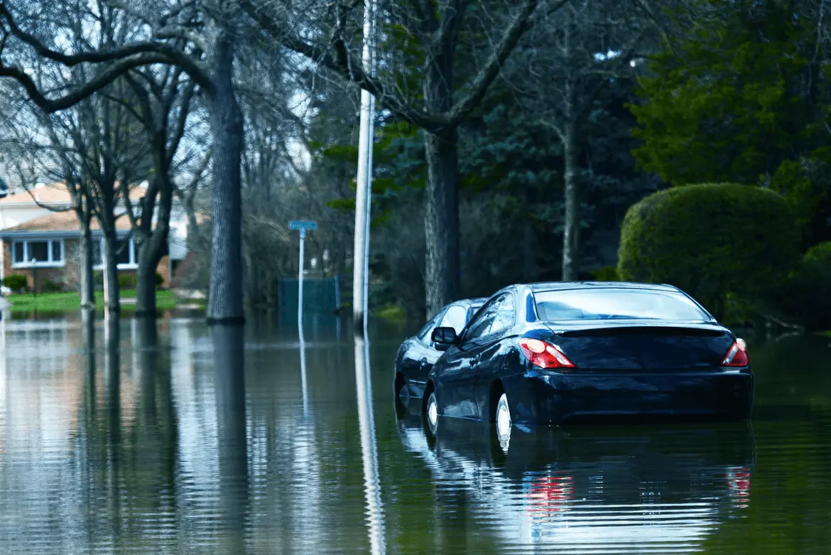 A Follow-Up on Storm-Damaged Vehicles from AutoBidMaster