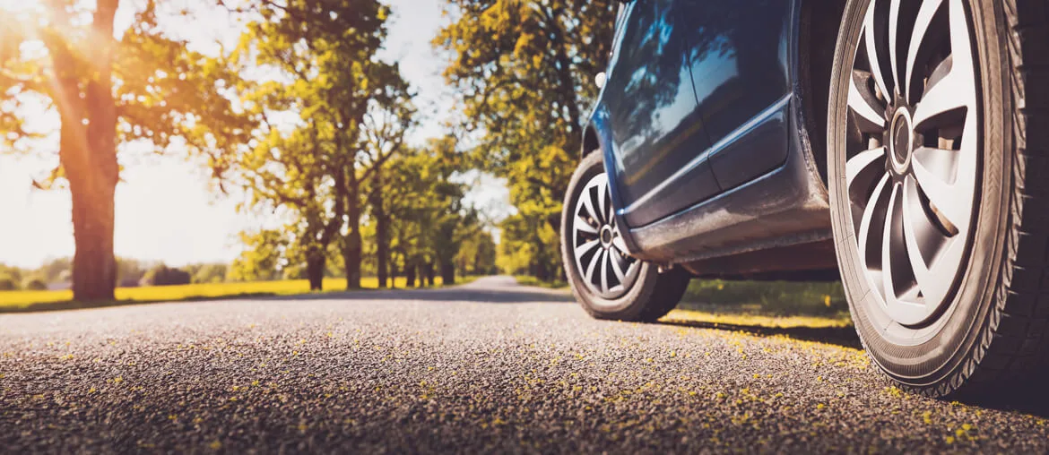 Spring Savings on AutoBidMaster Memberships