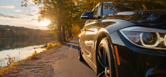 Do You Need a License to Buy a Car at Auction in Michigan?