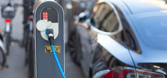 Top Salvage Tesla Models on AutoBidMaster