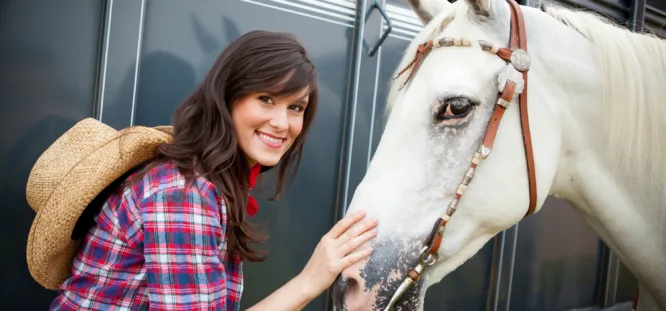 Horse Trailer Upgrades to Consider